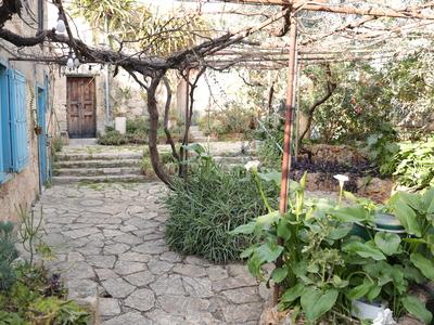 Daoud Courtyard